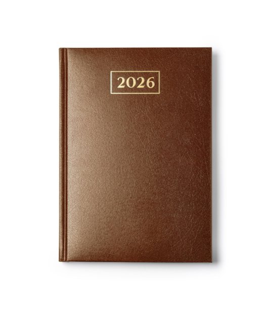 DAILY DIARY SELKIS BROWN снимка