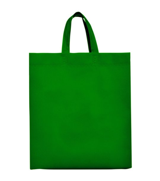 LAKE NON WOVEN BAG 40X35X12 FERN GREEN 40x35x12cm снимка