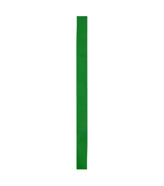 COMET HAT RIBBON FERN GREEN снимка