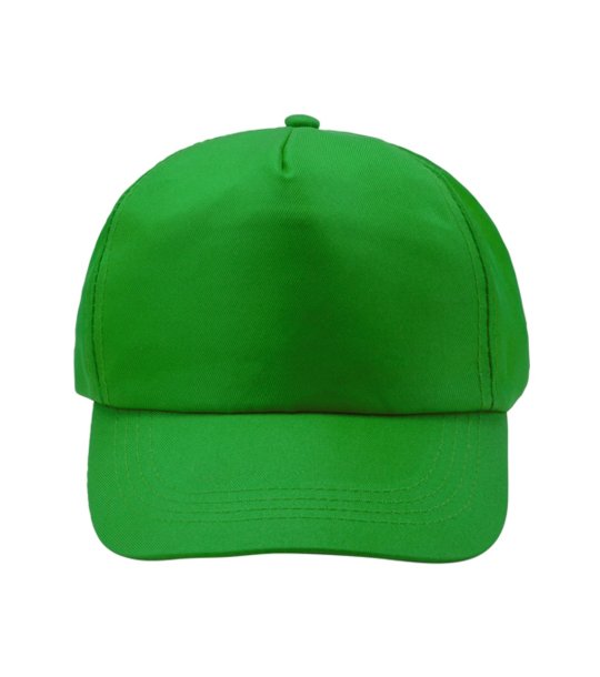 CALISTO CUP FERN GREEN снимка