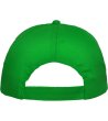 BASICA CAP C/FERN GREEN-3 снимка