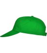 BASICA CAP C/FERN GREEN-4 снимка