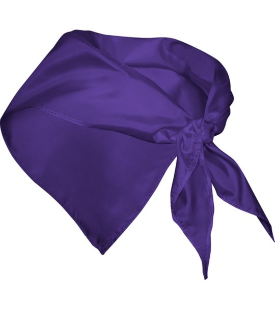FESTERO SCARF PURPLE снимка