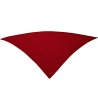 FESTERO SCARF WINE-2 снимка
