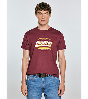 Мъжка памучна тениска в цвят бургунд Briss снимка