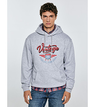 Сив мъжки суитшърт с памук Luka снимка