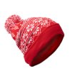 CHRISTMAS REDWIN RED-1 снимка