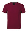 Мъжка памучна тениска в бордо Rick-1 снимка