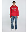 Червен памучен мъжки суитшърт Luka-2 снимка