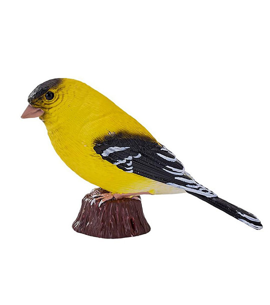 Фигурка Американска златна чинка снимка