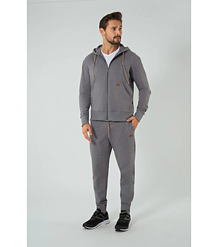 Мъжки памучен суитшърт в сив меланж с цип Darwin снимка