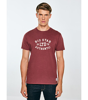 Памучна мъжка тениска в бордо TELLER снимка