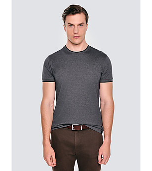 Мъжка памучна тениска в тъмносиво LOBBER снимка