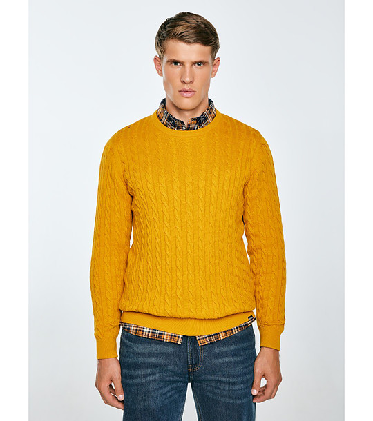 Мъжки памучен пуловер в жълто AMARIS  снимка