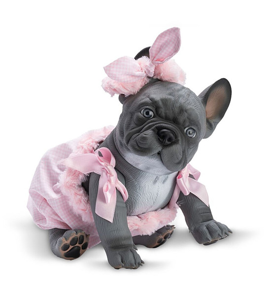 Бебе сив френски булдог Лили, с розов кариран гащеризон и панделка снимка