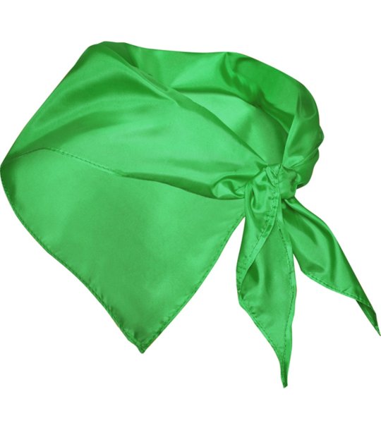 SCARF FESTERO FERN GREEN снимка