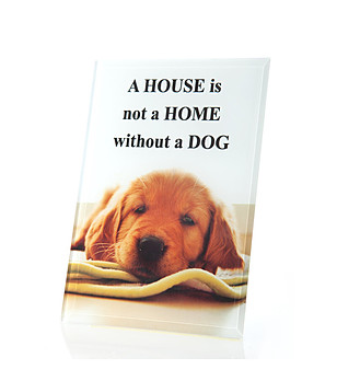 Бяла стъклена рамка за снимка 12x18 см снимка