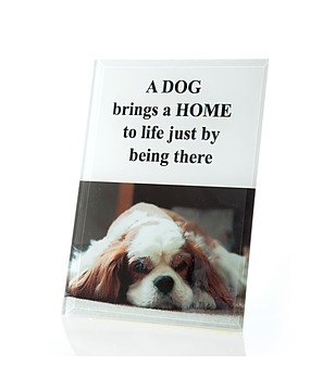 Стъклена рамка за снимка 12x18 см снимка