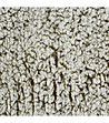 Бежово одеяло тип бархет 200x220-4 снимка