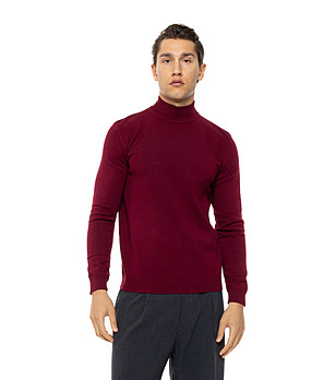 Бордо мъжки пуловер с дълъг ръкав Clark снимка