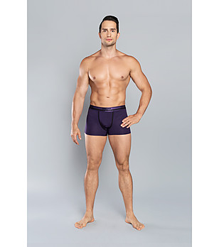 Мъжки боксерки в тъмносин цвят UMBERTO снимка