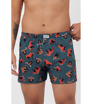 Мъжки памучни боксерки тип шорти в тъмносиньо с принт Angus снимка