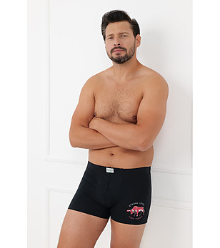 Мъжки черни памучни боксерки с принт FERNANDO снимка