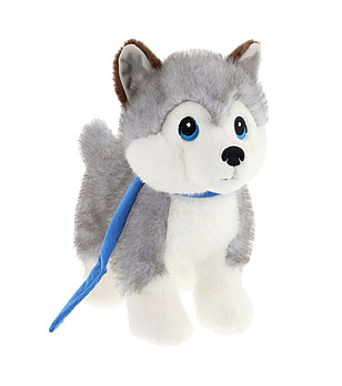 Сиво-бяло плюшено куче хъски с каишка снимка