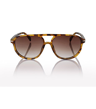 Слънчеви очила в кафяво костенурков ефект снимка