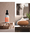 Комплект дифузерни масла 3 x 15 мл SENSUAL DIFFUSER OIL TRIO-2 снимка