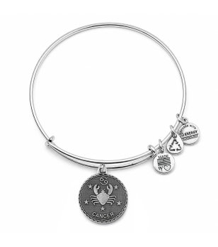 Сребриста дамска гривна с талисман зодия Рак Alex and Ani снимка