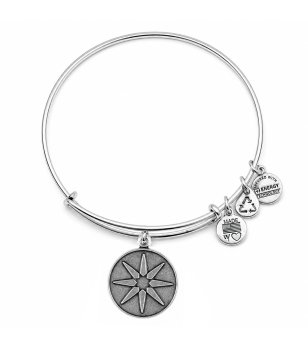 Сребриста дамска гривна с кръгла висулка Alex And Ani снимка