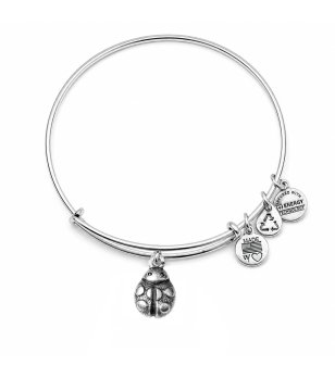 Дамска сребриста гривна с калинка Alex And Ani снимка