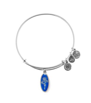 Сребриста дамска гривна с овална синя висулка Alex And Ani снимка