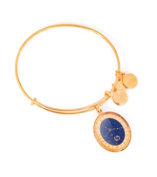 Дамска златиста гривна с талисман Рак Alex and Ani снимка