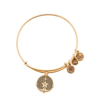 Златиста дамска гривна с котва Alex and Ani снимка