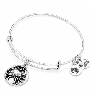 Сребриста гривна с висулка Рак Alex And Ani снимка