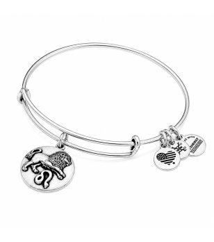 Сребриста метална гривна с талисман зодия Лъв Alex And Ani снимка