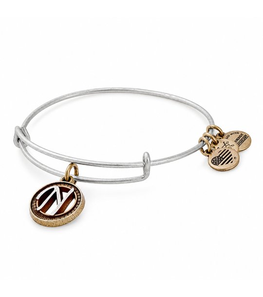 Дамска сребриста гривна с буква N Alex And Ani снимка
