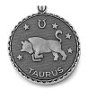 Сива метална гривна с талисман зодия Телец Alex And Ani-1 снимка