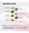 Ежедневни дамски превръзки LIFE ENERGY комплект от 14 броя-4 снимка