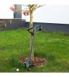 Зелен детски тример за трева със светлина и звук BOSCH GARDEN-2 снимка